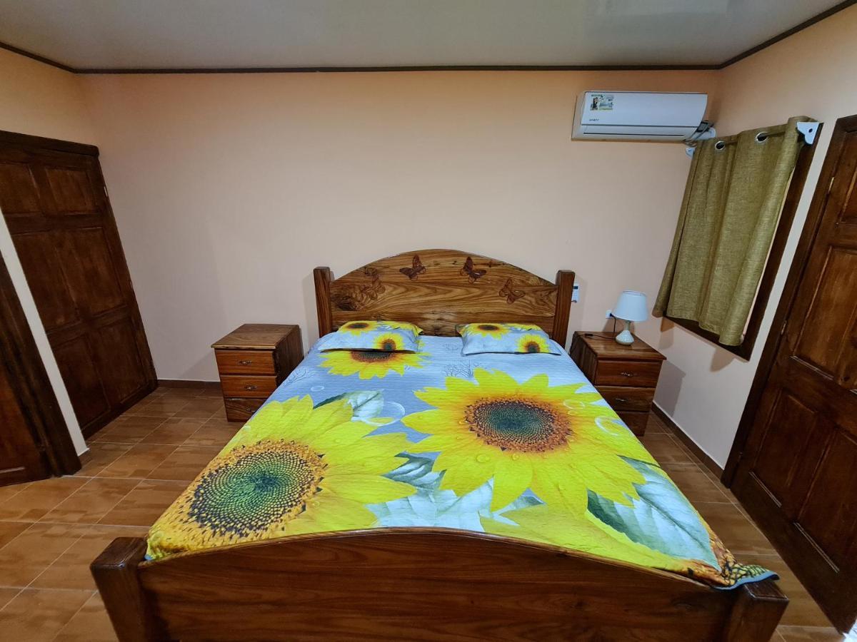 Ceiba Lodge Drake Bay Ngoại thất bức ảnh