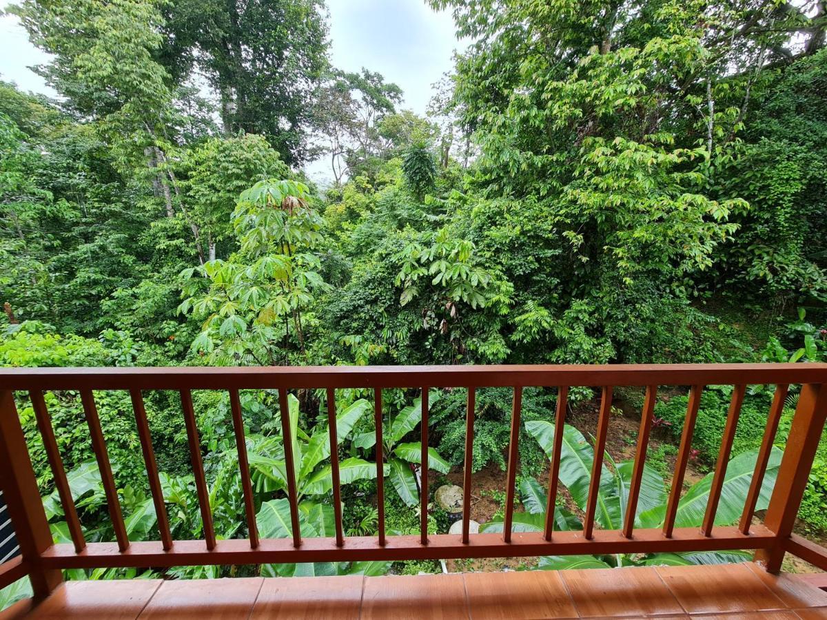 Ceiba Lodge Drake Bay Ngoại thất bức ảnh