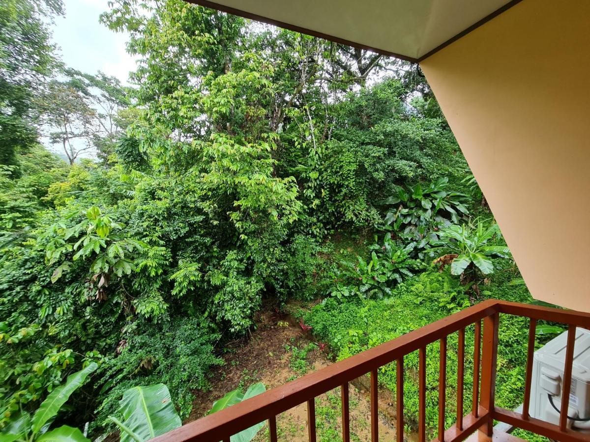 Ceiba Lodge Drake Bay Ngoại thất bức ảnh