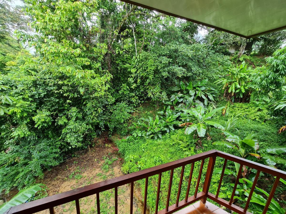 Ceiba Lodge Drake Bay Ngoại thất bức ảnh