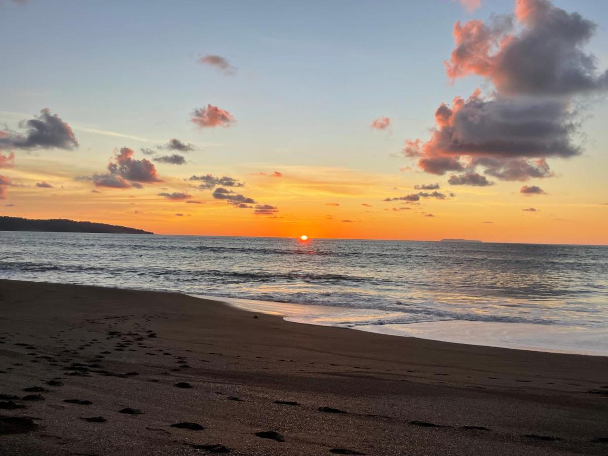 Ceiba Lodge Drake Bay Ngoại thất bức ảnh