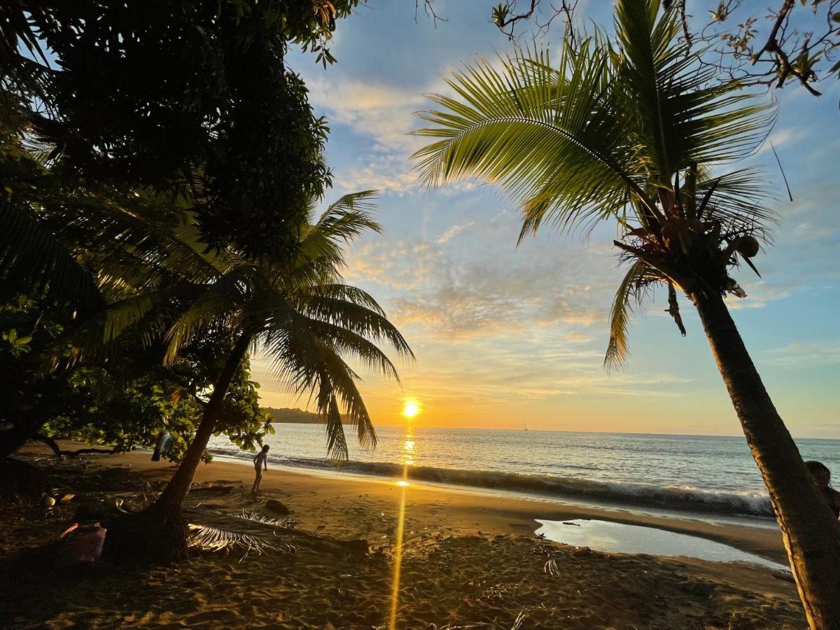 Ceiba Lodge Drake Bay Ngoại thất bức ảnh
