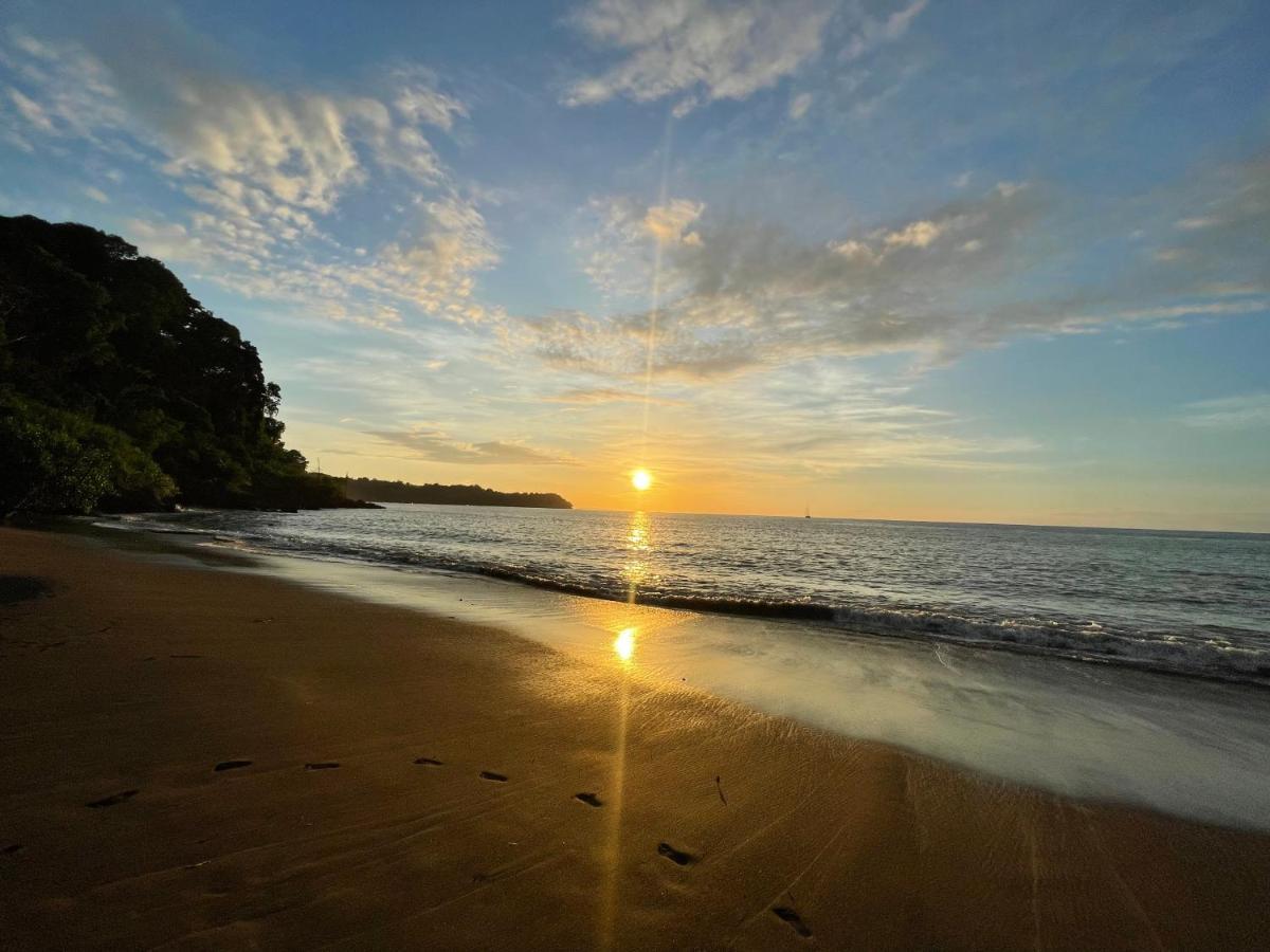 Ceiba Lodge Drake Bay Ngoại thất bức ảnh