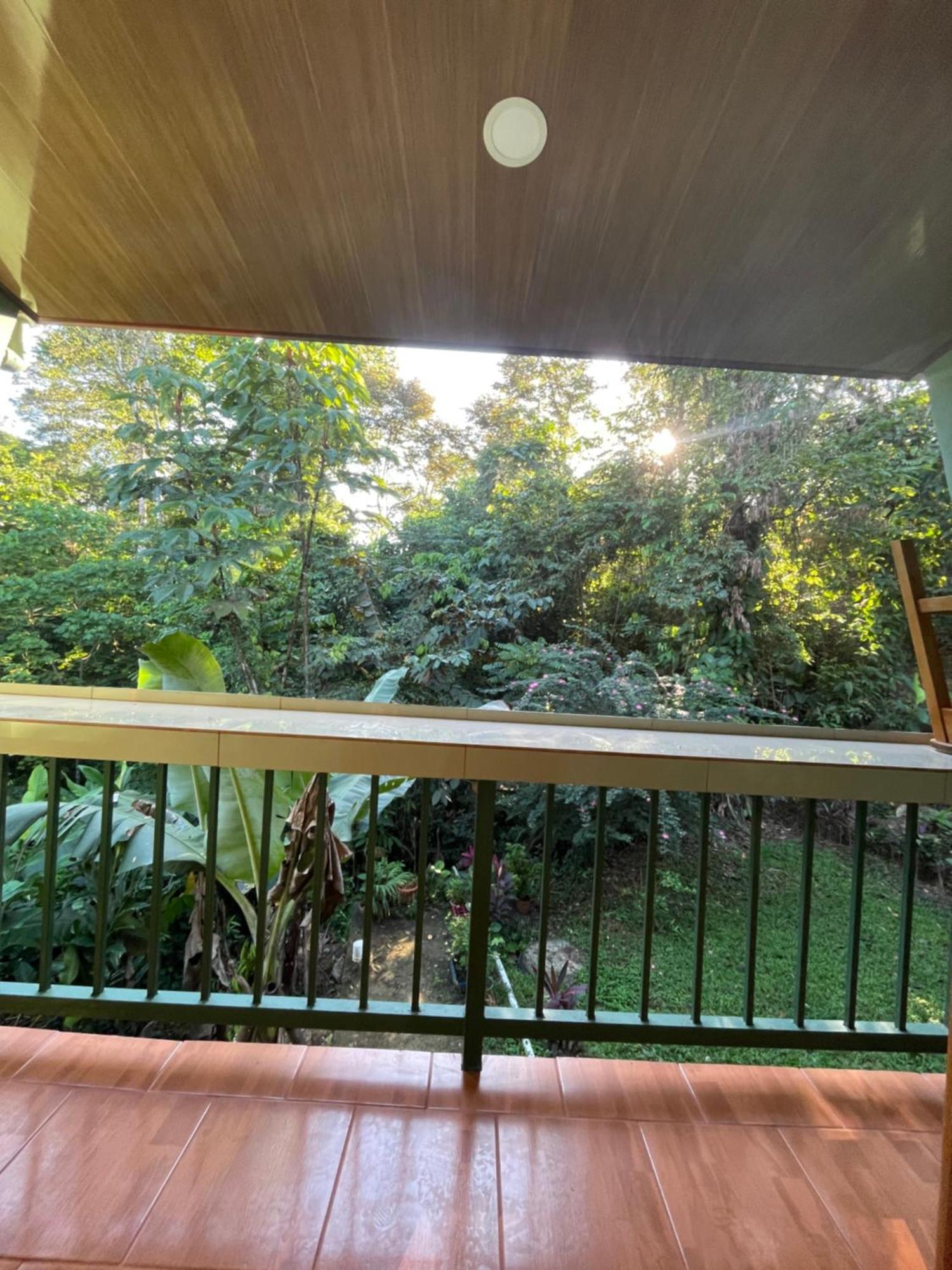 Ceiba Lodge Drake Bay Ngoại thất bức ảnh