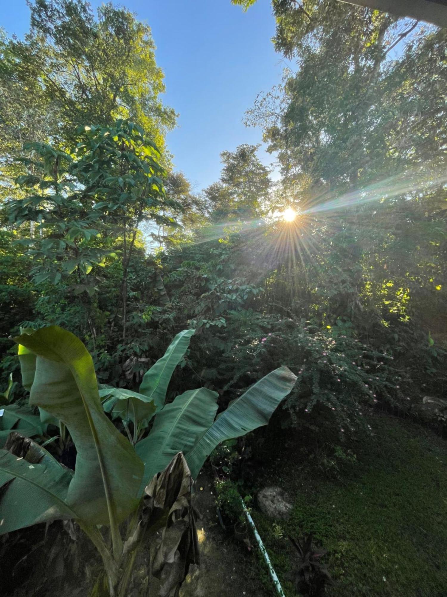 Ceiba Lodge Drake Bay Ngoại thất bức ảnh