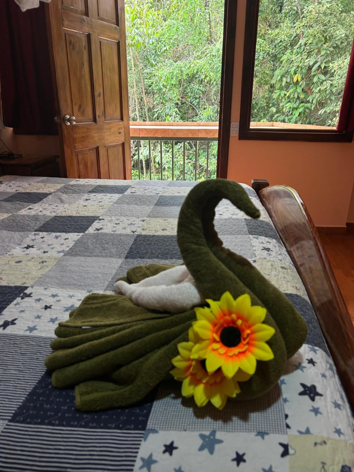 Ceiba Lodge Drake Bay Ngoại thất bức ảnh